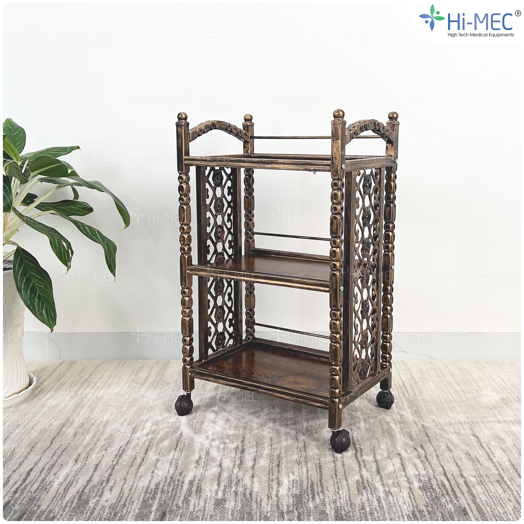Xe đẩy spa 3 tầng cao cấp HMTL-5080