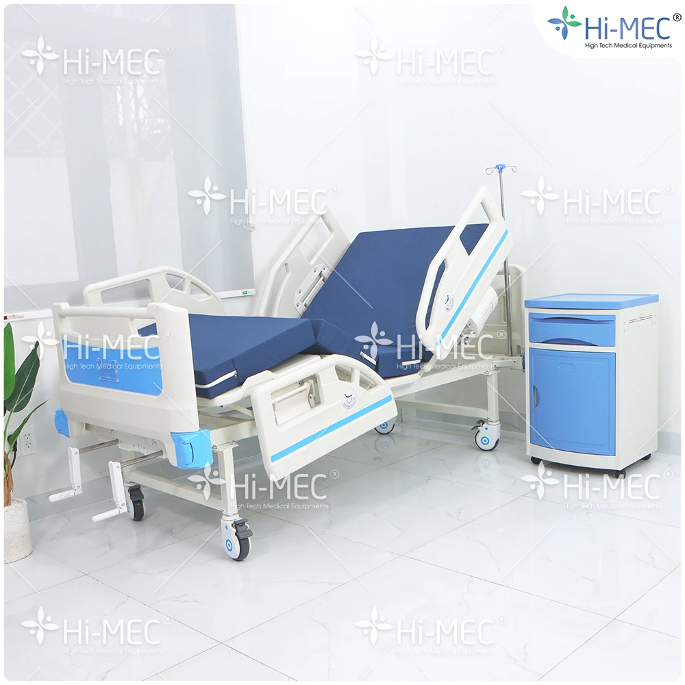 Giường bệnh nhân chỉnh cơ 2 tay quay Hi-MEC DL-SY-01 full nhựa, nệm da