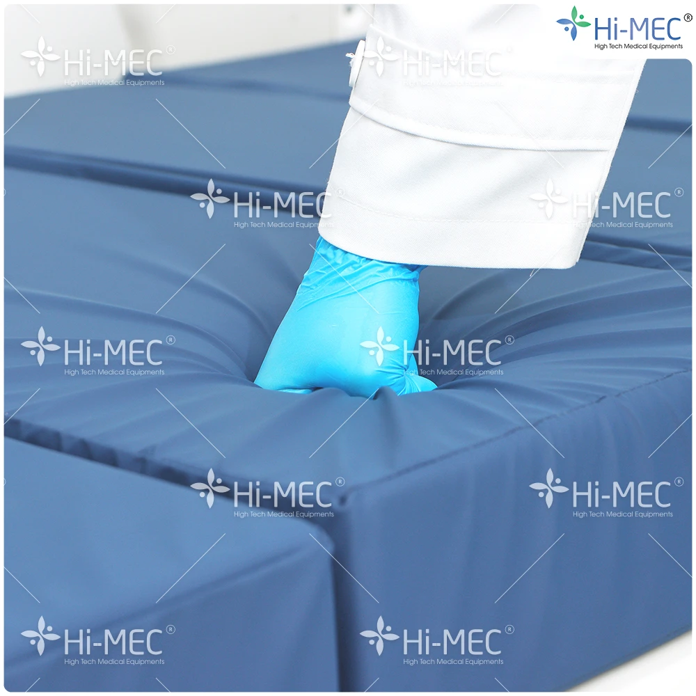 Giường bệnh nhân chỉnh cơ 2 tay quay Hi-MEC DL-SY-01 full nhựa, nệm da