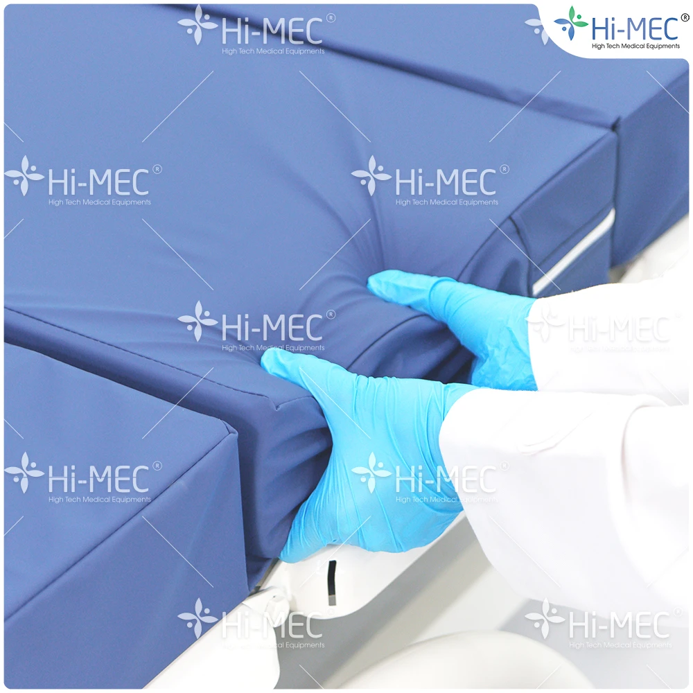 Giường bệnh nhân chỉnh điện 5 chức năng Hi-MEC DL-TF-01